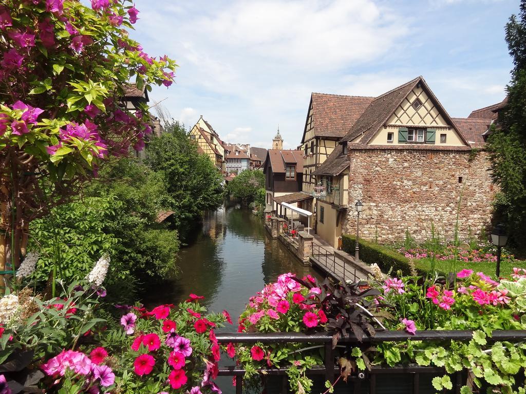 My Sweet Homes - Appartements Avec Spa Colmar Cameră foto